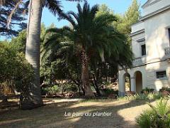 183 HYERES ET SES PALMIERS D14_000051